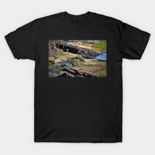 Crocodile in the Crocodile River T-Shirt